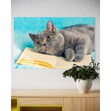 Baskı Perisi Kedi Cam Tablo 168