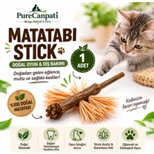 PureCanpati Matatabi Stick 1 Adet | Rafya Lifli Doğal Kedi Oyuncağı ve Çiğneme Çubuğu