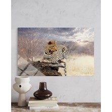 Baskı Perisi Leopar Cam Tablo 201