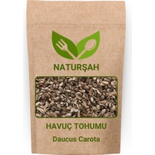 Naturşah Havuç Tohumu 500 gr / Daucus Carota
