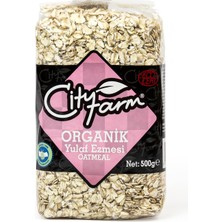 1001 Yulaf EZMESI,500 gr