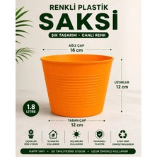 Nexvoria 15 Pot Saksı Set | Canlı Renk | Dayanıklı Gövde | Tabaksız | Çiçek ve Bitki Yetiştirme Saksısı | 1.8 Litre Turuncu Plastik Saksı