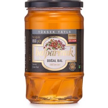 1001 Yüksek Yayla Çiçek Balı (Özel Seçim) 850 gr