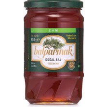 1001 Çam Balı 850 G