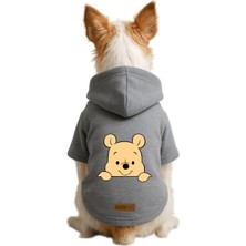 1001 Içi Polarlı Köpek ve Kedi Kıyafeti & Elbisesi - Gri Renk Kapüşonlu Hoodie B693E, Xs