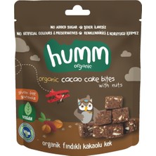 1001 Organic Glutensiz Vegan Kakaolu ve Fındıklı Kek