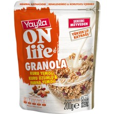1001 Üzümlü Turna Yemişli Granola 200 gr