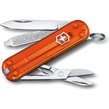1001 Victorinox Classic Çakı