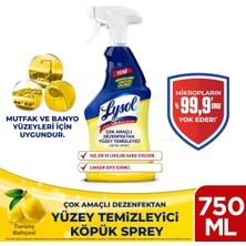 1001 Amaçlı Dezenfektan Yüzey Temizleyici Köpük Sprey 750 ml