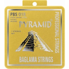 1001 Bağlama Teli 0.18 Kısa Sap Takım Tel