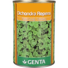 1001 Dichondra Repens Çim Tohumu 250 gr