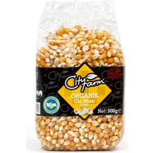1001 Cin Mısır 500 gr