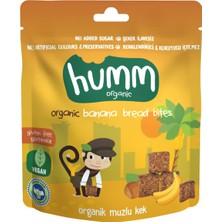 1001 Organic Glutensiz Vegan Muzlu Kek