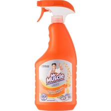 1001 Power Virüs Etkili Limon Kokulu Mutfak Spreyi, 750 ml