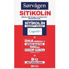 1001 Sitikolin, Dha Omega 3 Norveç Balık Yağı ve B12 (30 Kapsül)