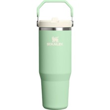 1001 The Iceflow™ Flip Straw 2.0 Tumbler 0.89L / 30OZ Pistachio Termos AS1013424061 Yeşil