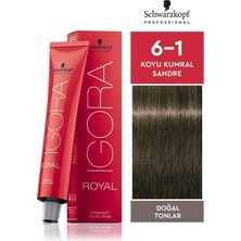 1001 Royal Saç Boyası 60ML-NO - 6.1 Küllü Koyu Kumral