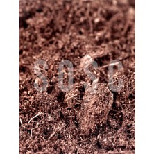 1001 Sphagnum Bitki Yetiştirme Torfu - Böcek Sinek Yapmaz Premium Kalite 1 Lt