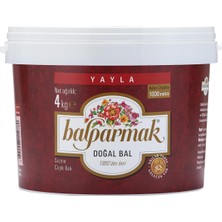 1001 Yayla Çiçek Balı 4 kg Kova