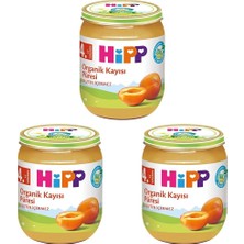 1001 Kayısı Püresi 125 gr 1 Paket(1 x 125 G) 3lü Paket