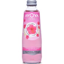 1001 Hibiskus ve Mürver Çiçeği Doğal Zengin Mineralli Gazlı Içecek Şişe 6 x 250 ml