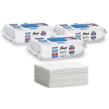 1001 Easy Clean Premium Çamaşır Suyu Katkılı Yüzey Temizlik Havlusu Mendili 3X100 (300 Yaprak)