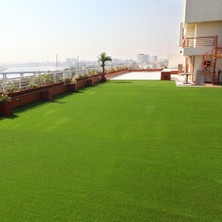 İNTFA Beach Mix Grass Çim Tohumu - 10 Kg