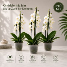 3'lü Set Poliwork 1,2 Litre Şeffaf Orkide Saksısı Gardenya Plastik Saksı Çiçek Saksısı