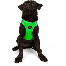 1001 Tailpetz Air-Mesh Küçük ve Orta Irk Kedi Köpek Göğüs Tasması - Yumuşak, Nefes Alabilir, Day