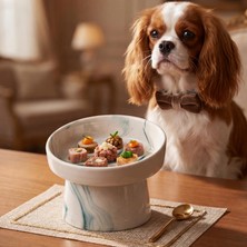 1001 Seramik Mama Kabı - Kedi ve Köpekler Için Sağlıklı Mama Kasesi - Ayaklı,yükseltilmiş, Kayma