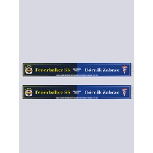 Fenerbahçe Gornık Zabrze 26 Şal