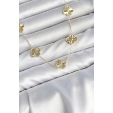 Teknoparkx Gold Renk Yonca Model Vıp Seri Kadın Kolye Tknprk-Tkaks3