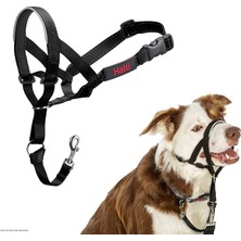 1001 Şirket Hayvanlarının Halti Köpek Halter, Boyut 2 (35-48 Cm), Siyah