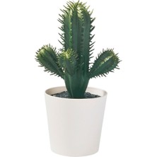 Yapay Bitki, Yeşil, 6 Cm, Kaktüs, Iç/dış Mekan