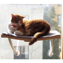 1001 Ata Home Yeni Dizayn Lüx Cam ve Duvar Için Kedi Yatağı Vantuzlu