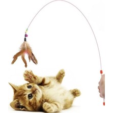 1001 Kedi Oltası Oyun Çıngıraklı Renkli Boncuklu ve Tüylü Kedi Oyun Oltası, 90 cm Uzunluk, Inter