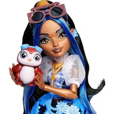 DS LLC JMB81 Monster High Robecca Steam