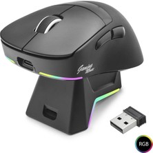 DS LLC Kablosuz Gaming Rgb Mouse Şarj Standlı - Siyah MF1216B