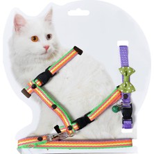 1001 X-Perk Kedi Göğüs Bel Gezdirme Takımı Boyun Tasma Hediyeli