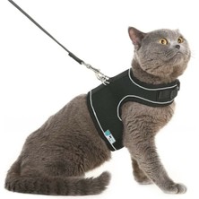 1001 Bypet Yeni Nesil Nefes Alabilen Kedi Göğüs Tasması Seti (Medium, Siyah)