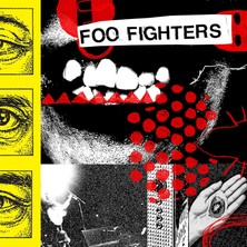 SoundBox Foo Fıghters - Your Favorıte Toy - 1 Plak