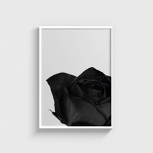 Domirus Black Rose Tablo Çerçeveli Poster Duvar Dekorasyonu