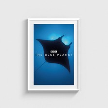 Domirus The Blue Planet Dizi Posteri Tablo Çerçeveli Poster Duvar Dekorasyonu
