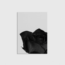 Domirus Black Rose Poster Çerçevesiz Duvar Dekorasyonu