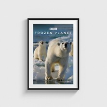 Domirus Frozen Planet Dizi Posteri Tablo Çerçeveli Poster Duvar Dekorasyonu