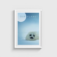 Domirus Our Planet Dizi Posteri Tablo Çerçeveli Poster Duvar Dekorasyonu