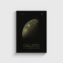 Domirus Nasa - Callisto Tablo Çerçeveli Poster Duvar Dekorasyonu