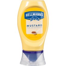 Hellmann's Hardal 12 x 250 G (2'li Paket)