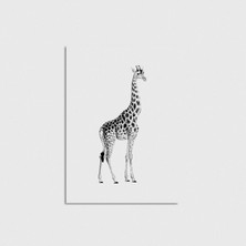 Domirus Giraffe Poster Çerçevesiz Duvar Dekorasyonu