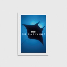 Domirus The Blue Planet Dizi Posteri Poster Çerçevesiz Duvar Dekorasyonu